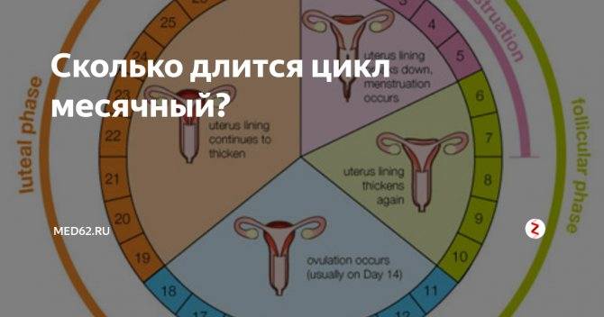 Первая менструация: что нужно знать девочке и родителям?
