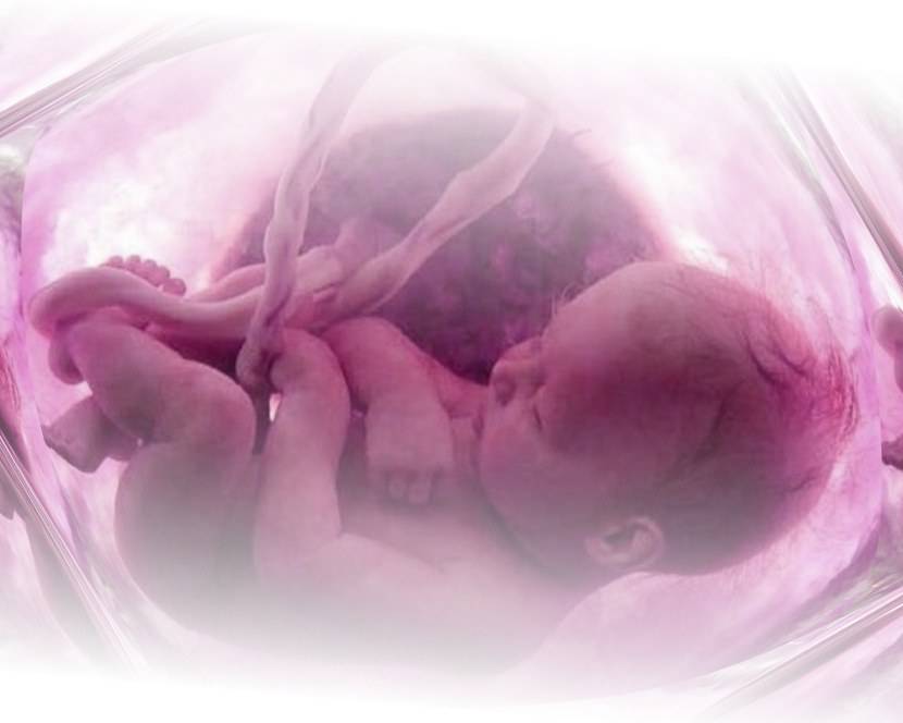 32 неделя беременности: норма веса ребенка, что происходит с малышом и мамой, фото, развитие плода