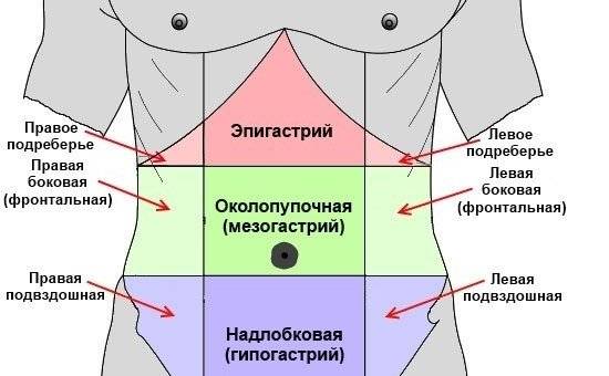 Эпигастрия это где фото