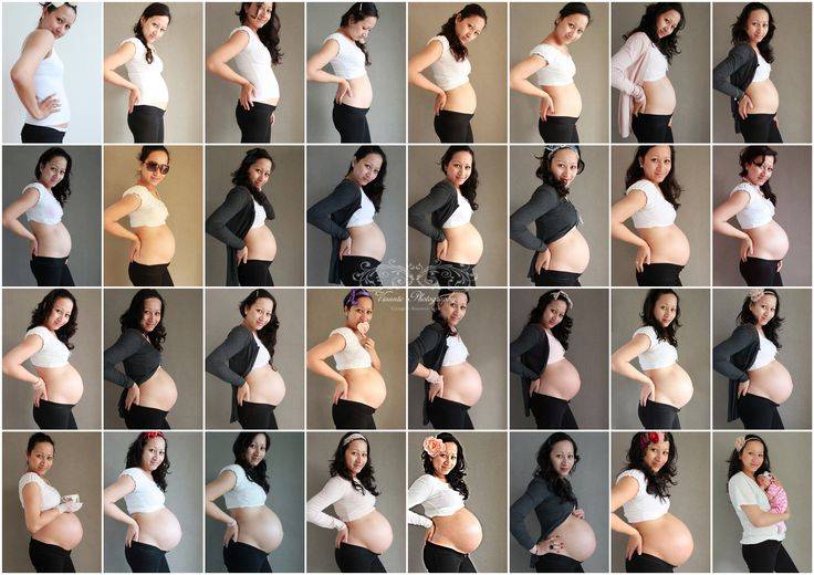 Когда начинает расти живот при беременности: размер по неделям и особенности того, как он должен расти на разных этапах развития ребенка