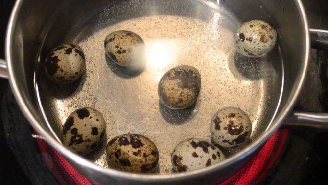 Как приготовить перепелиные яйца?