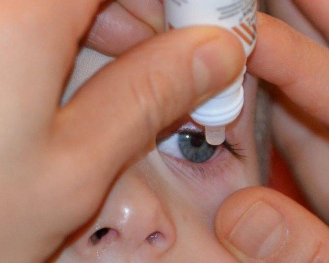 Капли для лечения глазных заболеваний у младенцев «ochkov.net»