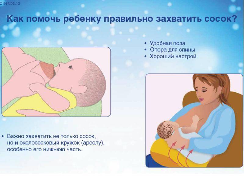 Как правильно кормить грудью? Как правильно прикладывать новорожденного ребенка к груди?