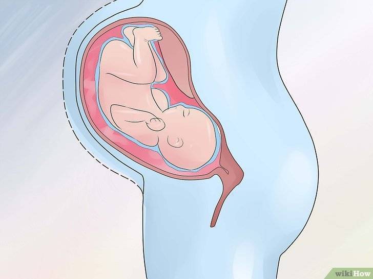 Многоводие и маловодие во время беременности - в чем опасность и причины возникновения