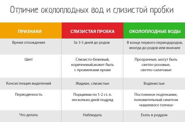Третий триместр беременности: с какой недели начинается, что нужно знать — медицинский женский центр в москве