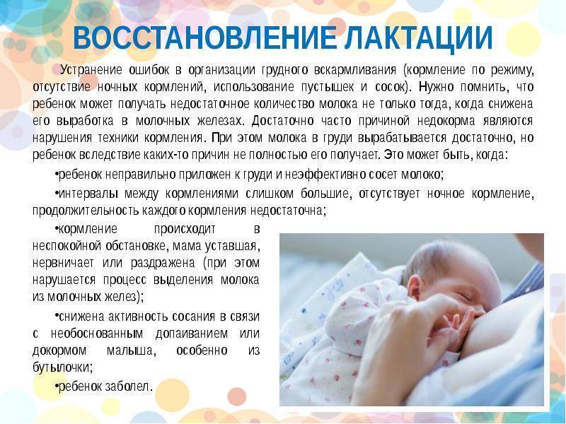 Режим кормления новорожденного на грудном вскармливании