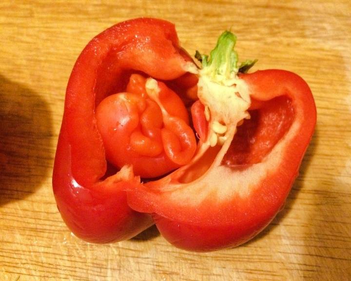 Польза и вред переца для беременных. болгарский перец: какие витамины содержит, чем полезен