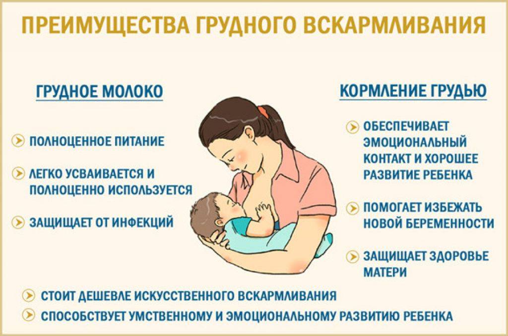 Как уложить ребенка спать без грудного кормления (отучить засыпать с грудью) | семейные правила и ценности | vpolozhenii.com