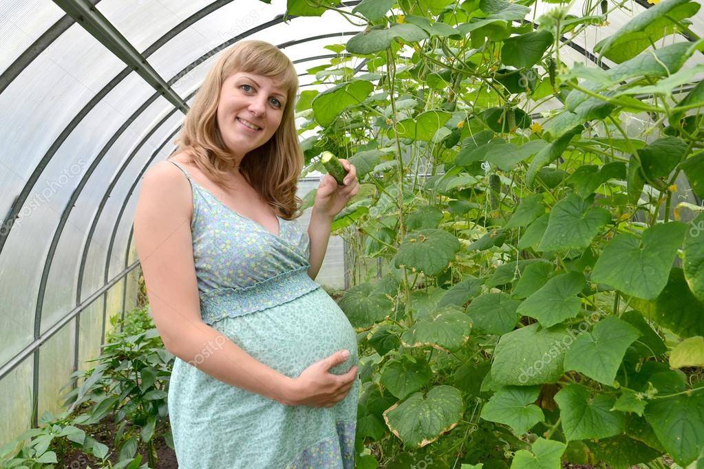 При беременности тянет на свежие огурцы | babymother