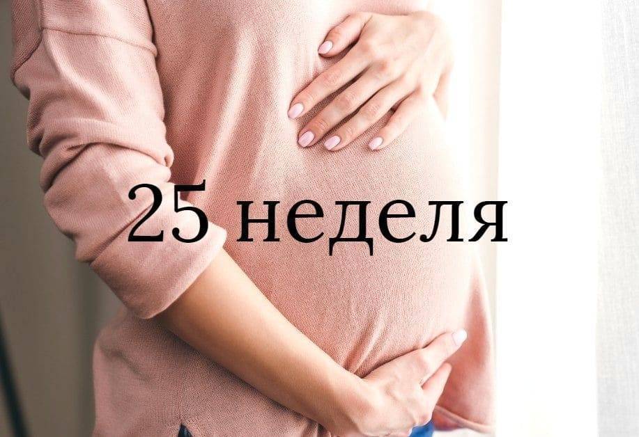 25 неделя беременности: узи плода на 25 неделе