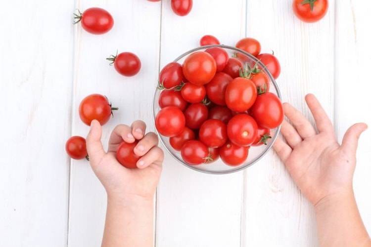 Когда вводить прикорм помидоры