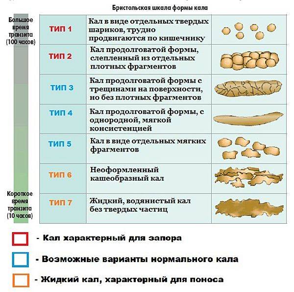 Густой стул при введении прикорма