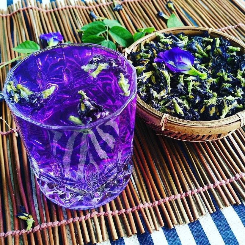 Пурпурный чай чанг-шу для похудения — помогает ли напиток сбросить вес?