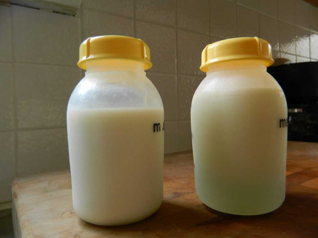 Определяем жирность грудного молока в домашних условиях