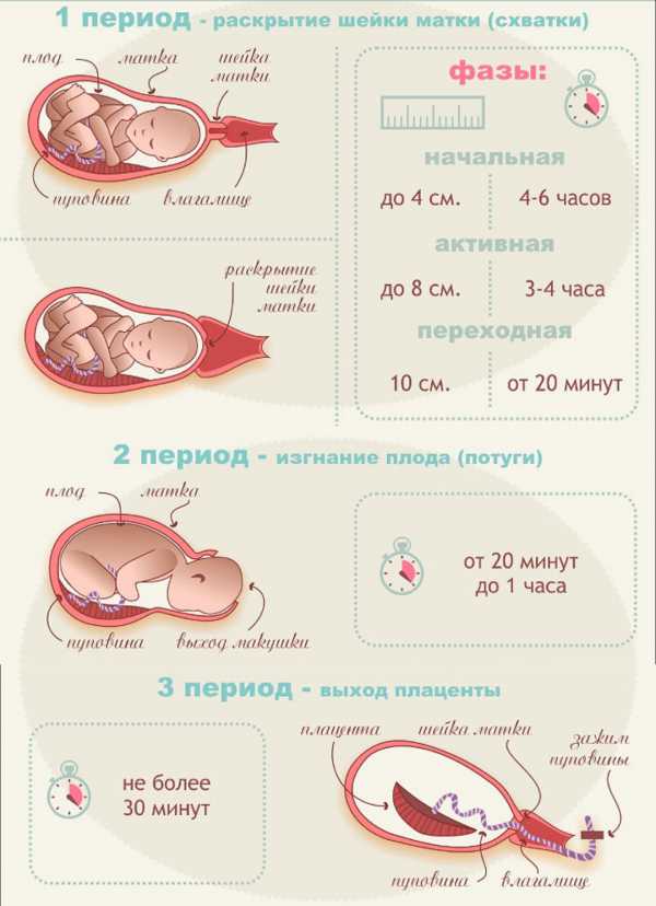 На каком сроке рождается первый ребенок: во сколько недель первые роды