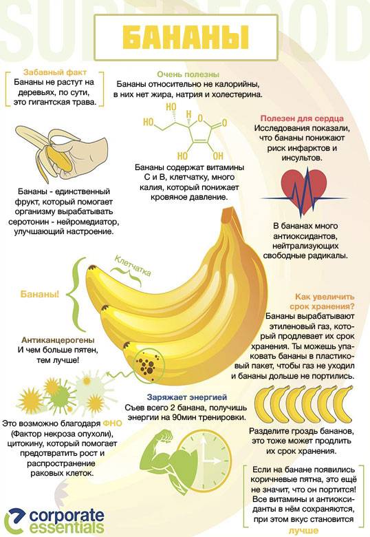 Бананы при грудном вскармилвании: можно ли в первый месяц