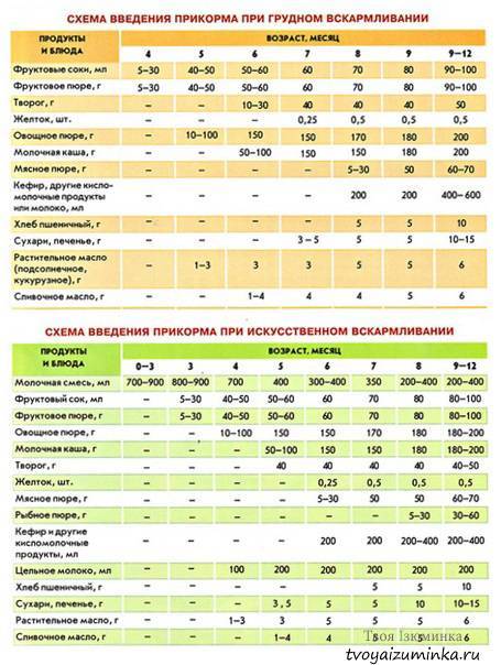 Введение прикорма грудничкам во время дисбактериоза | kvd9spb.ru