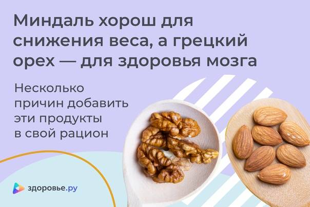 Чем полезны орехи для организма человека