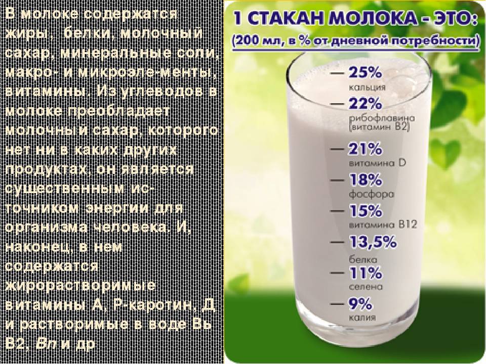 Продукты, повышающие лактацию грудного молока: напитки, травы и пища