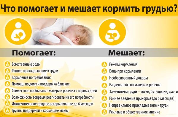 Грудное вскармливание новорожденных: советы как правильно