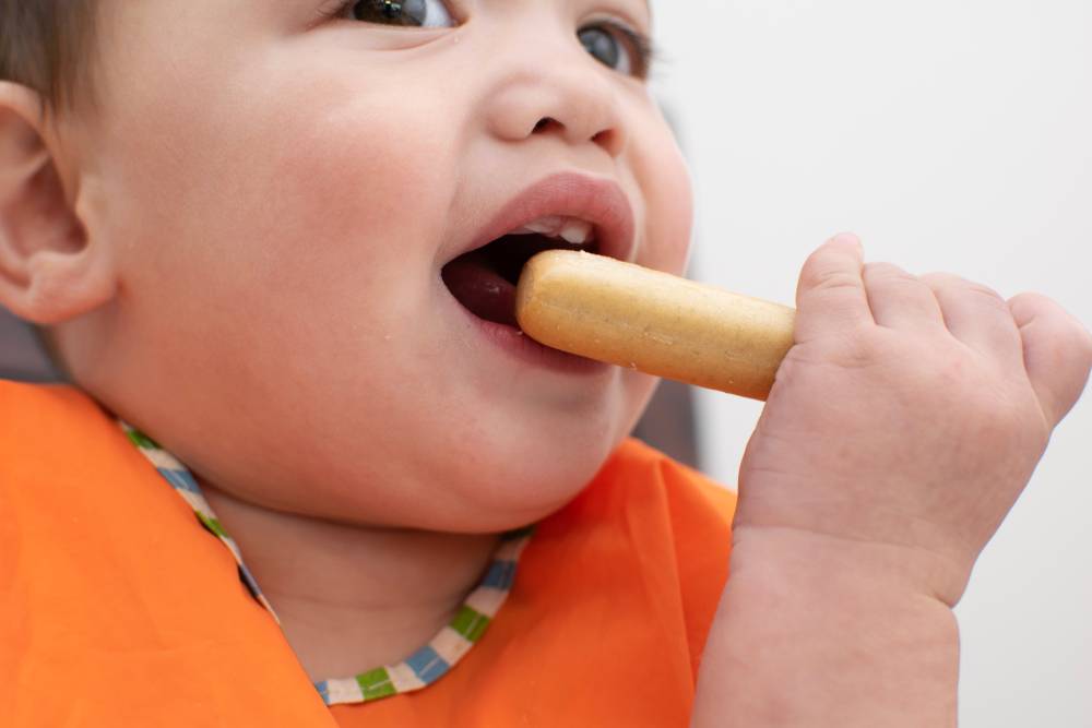 Как научить ребенка жевать твердую пищу? как приучить есть и когда можно давать, если он давится при кормлении, советы комаровского