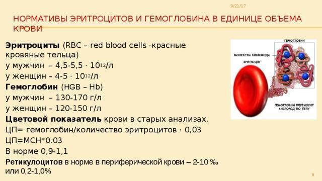 Низкий гемоглобин у ребенка: основные причины, 4 типа проявления, лечение, видео