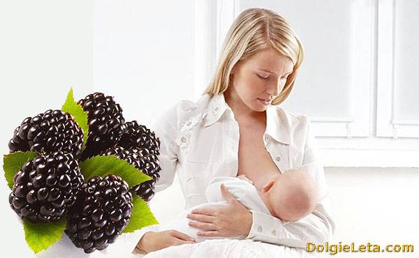 Ежевика при беременности: польза и вред. свойства ягоды на ранних и поздних сроках - spuzom.com