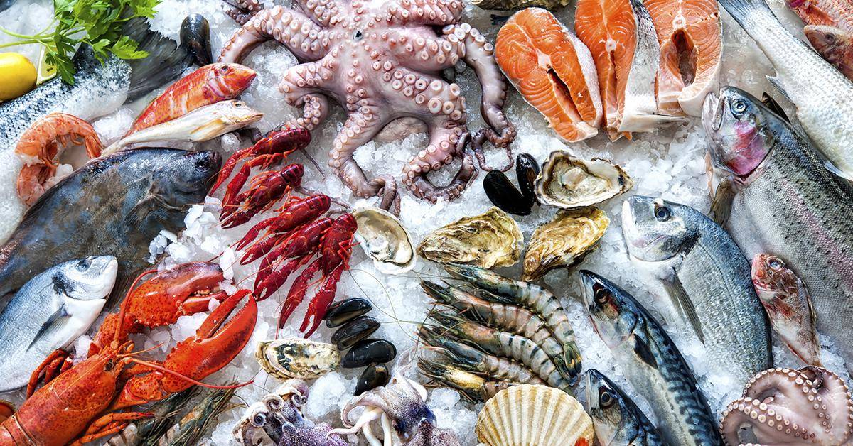 Полезные свойства морской и речной рыбы для беременных: какую лучше всего кушать – вяленую, горячего копчения или копченую красную