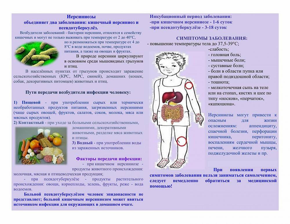 Кишечный иерсиниоз презентация