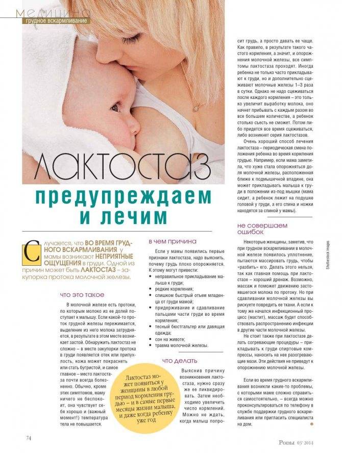 Массаж груди при кормлении: как правильно массировать грудные железы для увеличения лактации и другие особенности