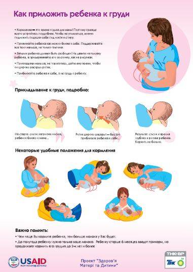 Значение раннего прикладывания ребёнка к груди | педиатрия и неонатология